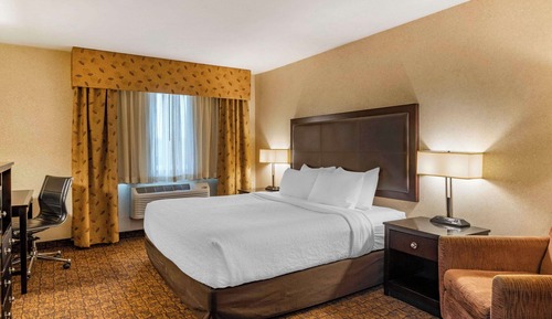 Chambre, 1 très grand lit, accessible aux personnes à mobilité réduite, non-fumeurs (Roll-in Shower)