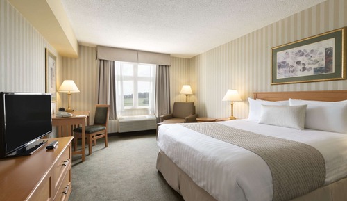 Chambre Deluxe, 1 grand lit