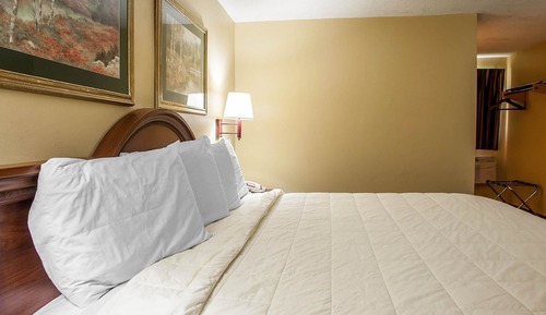 Chambre, 1 très grand lit, accessible aux personnes à mobilité réduite, non-fumeurs