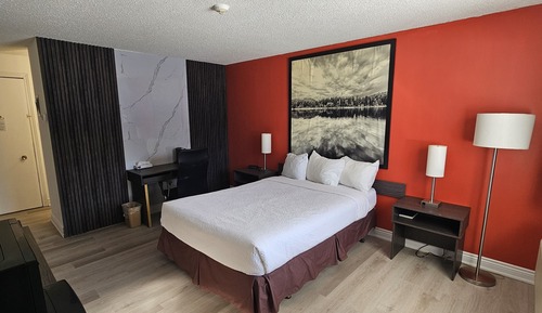Chambre, 1 grand lit, non-fumeurs