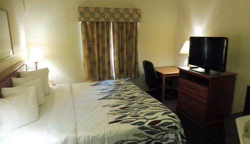 Chambre Supérieure, 1 très grand lit, accessible aux personnes à mobilité réduite, non-fumeurs