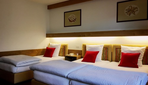 Chambre Double ou avec lits jumeaux