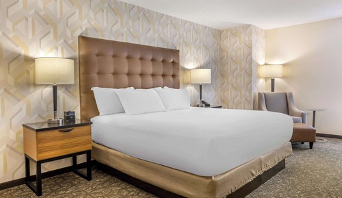 Chambre Deluxe, 1 très grand lit, accessible aux personnes à mobilité réduite (Roll in Shower)