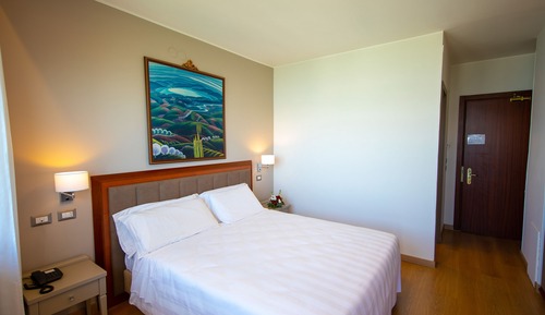 Chambre Supérieure, 1 grand lit, vue ville