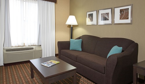 Chambre Standard, 1 très grand lit et 1 canapé-lit (Wet Bar)