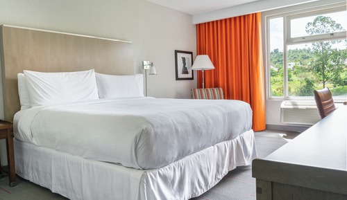 Chambre Standard, 1 très grand lit