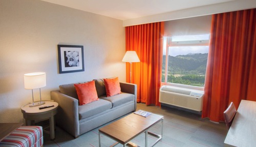 Suite Deluxe, 1 très grand lit et 1 canapé-lit, vue piscine