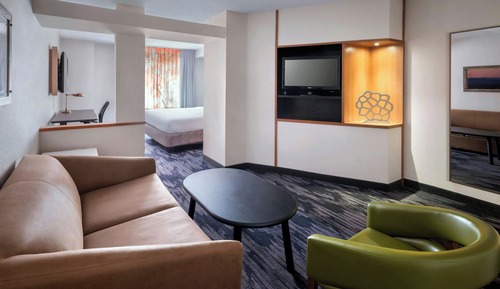 Studio Exécutif, 1 très grand lit et 1 canapé-lit, non-fumeurs (Mobility Accessible, Roll-In Shower)