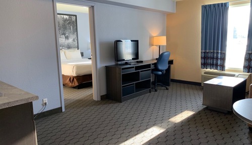 Suite, 1 grand lit, non-fumeurs (One-Bedroom Suite)