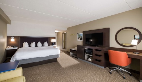 Chambre, 1 très grand lit et 1 canapé-lit, non-fumeurs, réfrigérateur et four à micro-ondes (Shower)