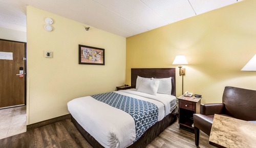 Chambre, 1 grand lit, accessible aux personnes à mobilité réduite, non-fumeurs