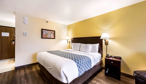 Chambre Standard, 1 très grand lit, non-fumeurs