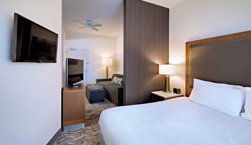 Suite, 1 très grand lit et 1 canapé-lit (Hearing Accessible)