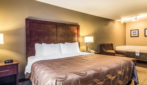 Chambre, 1 très grand lit, non-fumeurs (Pet Friendly)