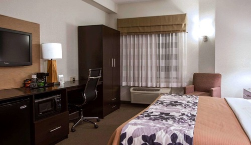 Chambre, 1 grand lit, non-fumeurs