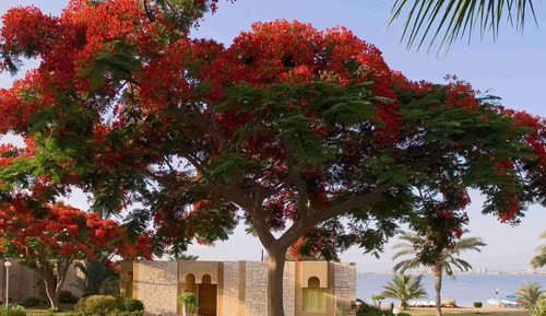 Villa, 3 chambres