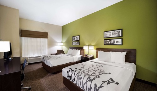 Chambre Standard, 2 grands lits, non-fumeurs