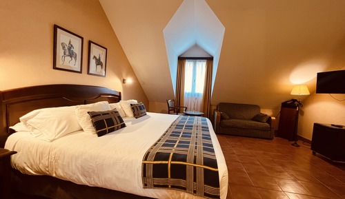 Chambre Supérieure (1 pax)