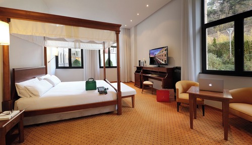 Suite Junior (Single)