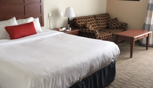 Chambre, 1 très grand lit, non-fumeurs (Pet-friendly)