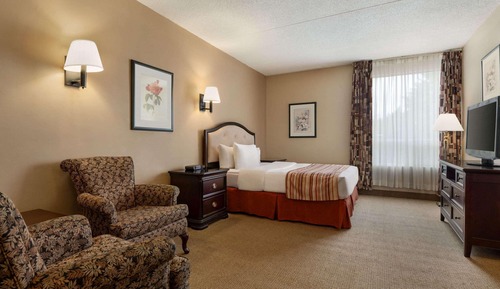 Chambre, 1 grand lit, non-fumeurs (Pet-friendly)