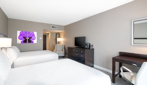 Chambre Standard, 2 grands lits