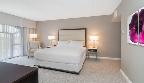 Suite, 1 chambre