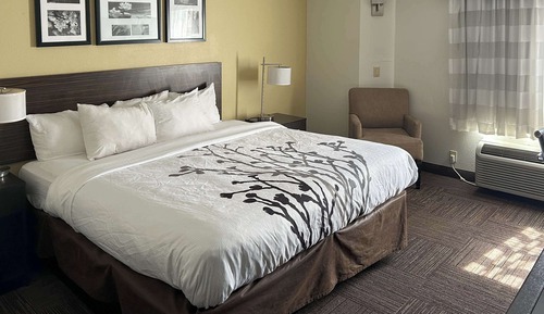 Chambre, 1 très grand lit, accessible aux personnes à mobilité réduite, non-fumeurs