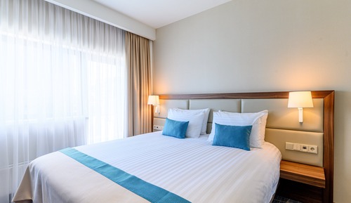 Chambre Standard, 1 très grand lit (Walk-In Shower)