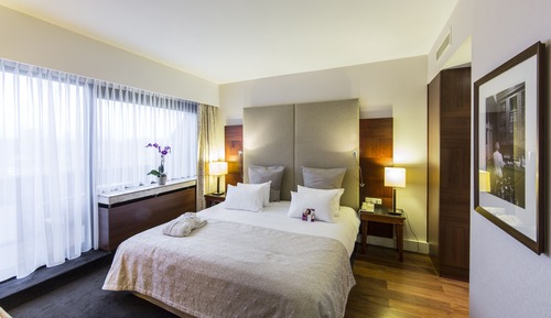 Suite, 1 chambre, vue fleuve (River Meuse View)