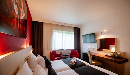 Chambre Exécutive avec lits jumeaux