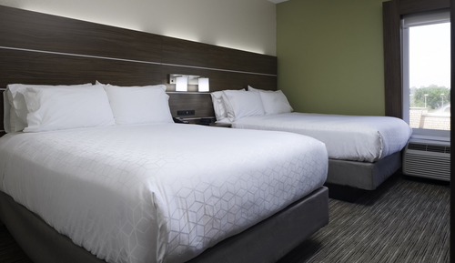 Chambre Standard, 2 grands lits (Pet Friendly)