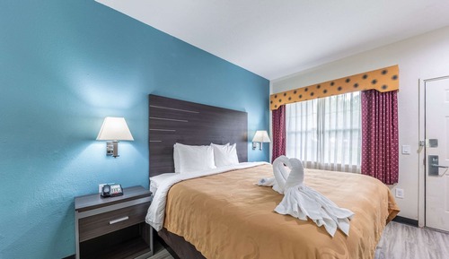 Chambre, 1 très grand lit, accessible aux personnes à mobilité réduite, fumeurs