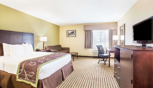 Chambre, 1 grand lit, accessible aux personnes à mobilité réduite (Mobitily/Hearing, Roll-In Shower)