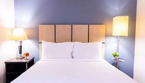 Suite Studio, 1 grand lit