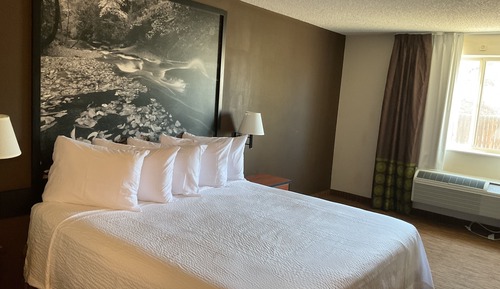 Chambre Standard, 1 très grand lit, accessible aux personnes à mobilité réduite