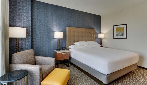 Chambre Deluxe, 1 très grand lit, accessible aux personnes à mobilité réduite (Roll in Shower)