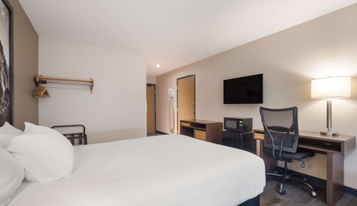 Chambre, 1 grand lit, non-fumeurs