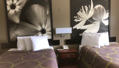 Chambre Double, 2 lits doubles
