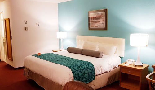 Chambre, 1 grand lit, non-fumeurs (Pet Friendly)