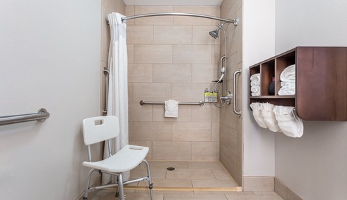 Chambre Standard, 1 très grand lit (Mobility Roll-In Shower)