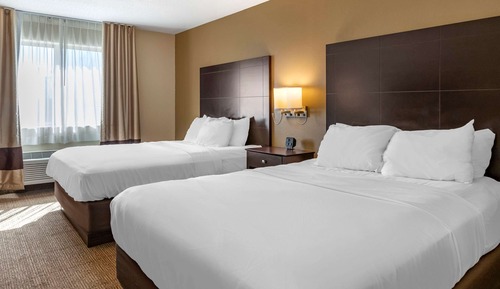 Chambre Standard, 2 grands lits, non-fumeurs
