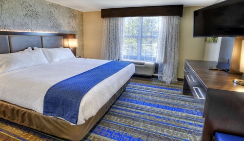 Suite, 1 très grand lit, accessible aux personnes à mobilité réduite (Mobility, Roll-In Shower)
