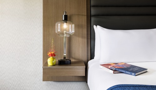 Chambre Deluxe, 1 très grand lit (Roll-In Shower)