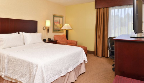 Chambre, 1 très grand lit, accessible aux personnes à mobilité réduite (Mobility & Hearing)