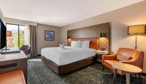 Chambre Standard, 1 très grand lit, non-fumeurs
