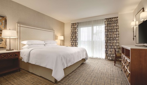 Suite Deluxe, 1 chambre