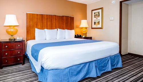 Chambre Simple Exclusive, 1 très grand lit, accessible aux personnes à mobilité réduite