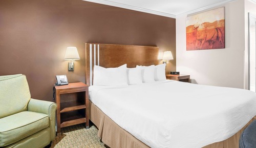 Chambre Standard, 1 très grand lit, accessible aux personnes à mobilité réduite (Walk-in Shower)