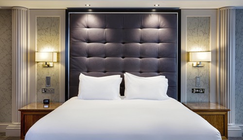 King, Suite, 1 chambre